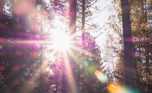 LET'S TALK ABOUT... VITAMIN D